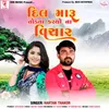 About Dil Maru Totda Kariyo Na Vichar Song